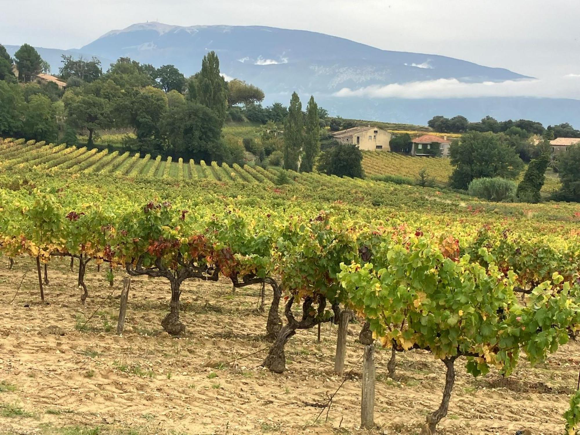 Vila La Clairiere Pierrelongue Exteriér fotografie