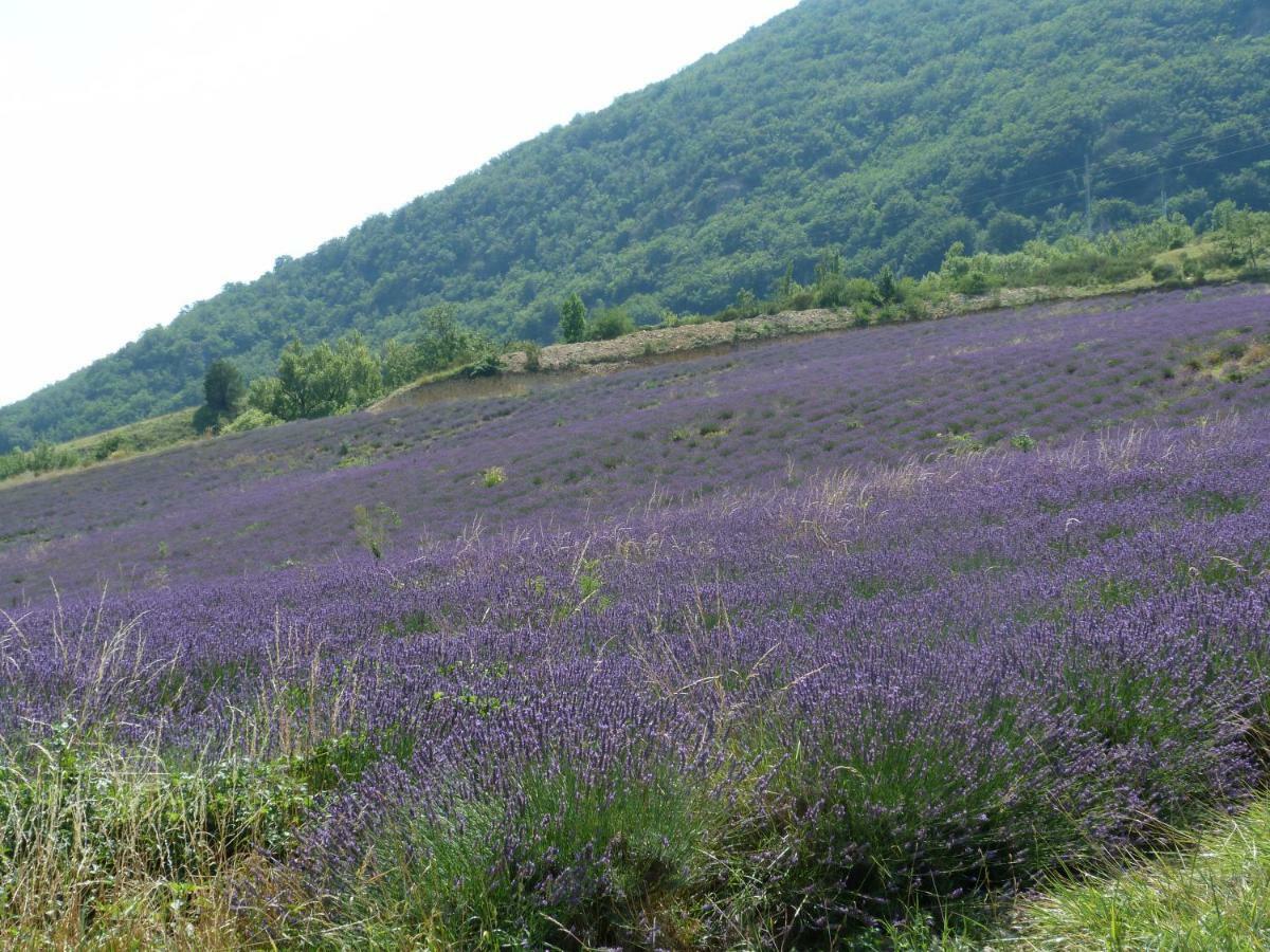 Vila La Clairiere Pierrelongue Exteriér fotografie